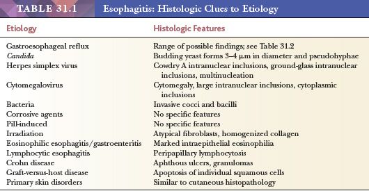 esophageal ulcer histology