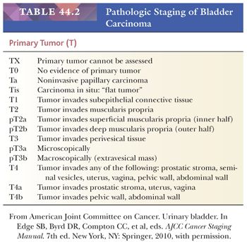 Urothelial Tract: Renal Pelvis, Ureter, Urinary Bladder, and Urethra ...