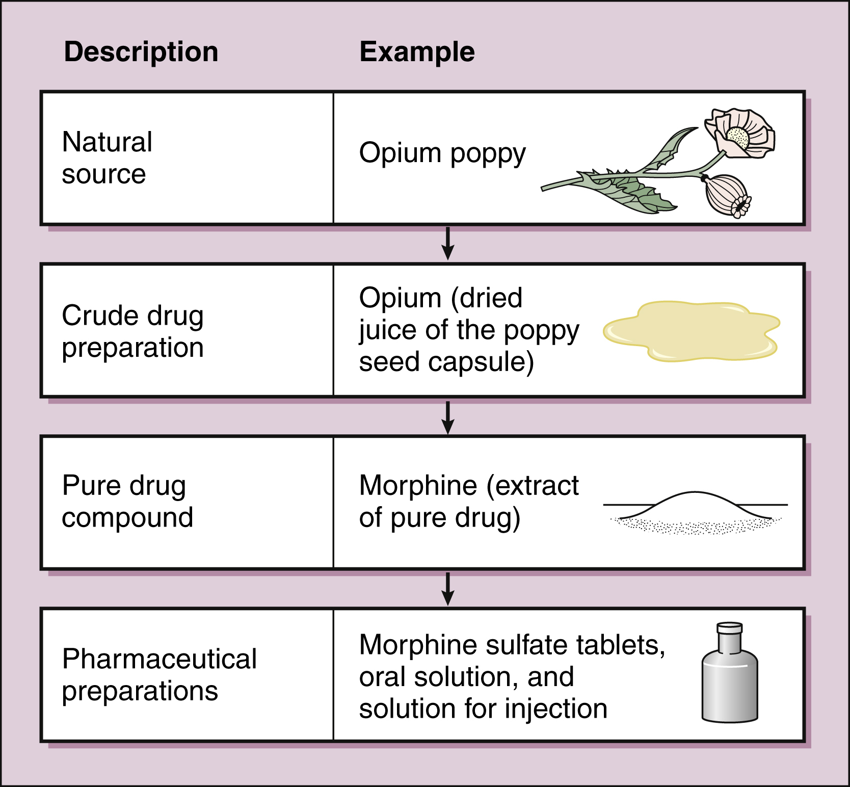 excursion definition pharmacology
