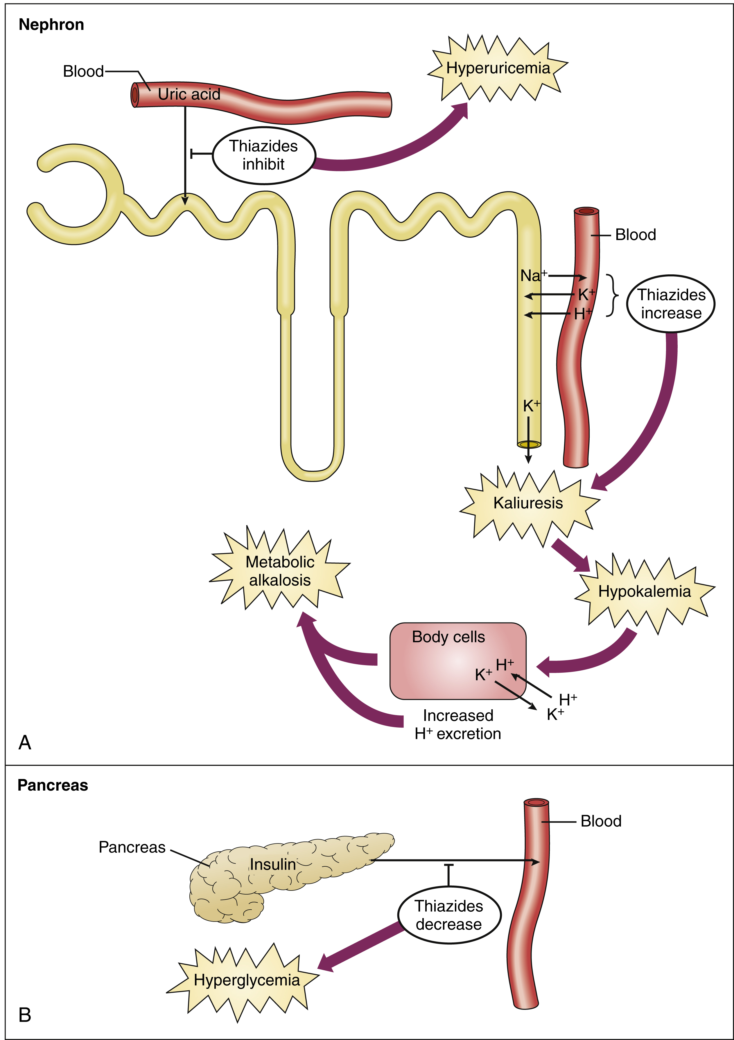 diuretics-side-effects-general-center-steadyhealth