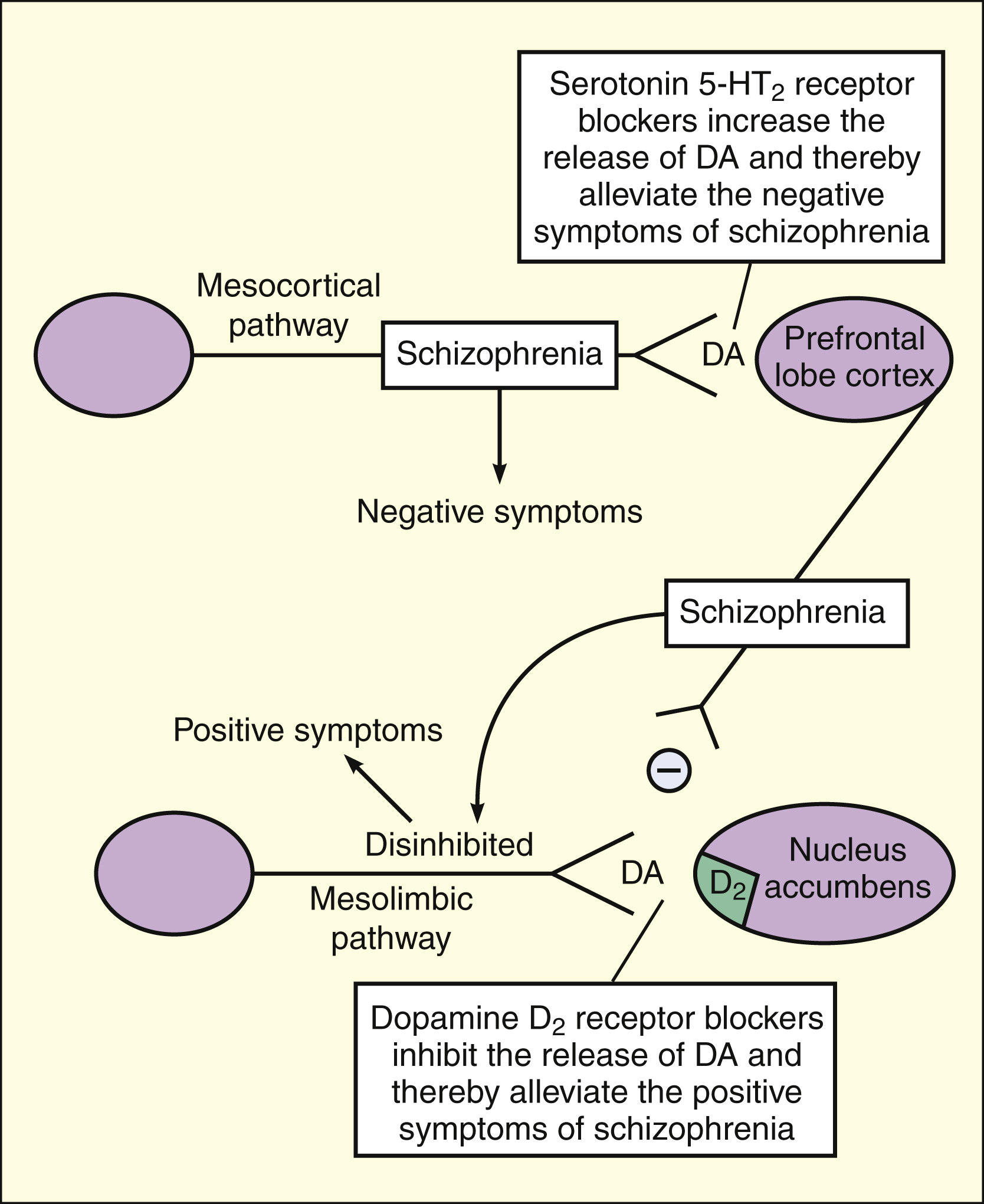 Psychotherapeutic Drugs