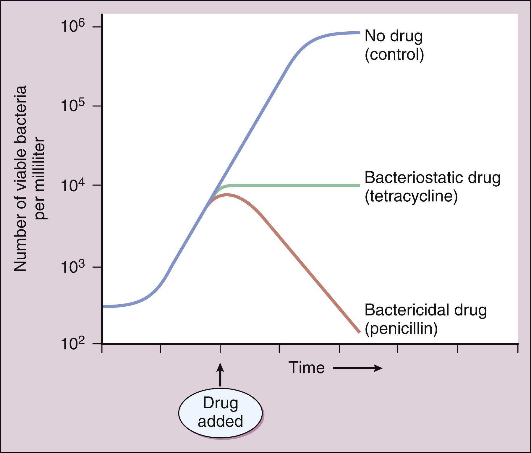 Antibiotics- Overview