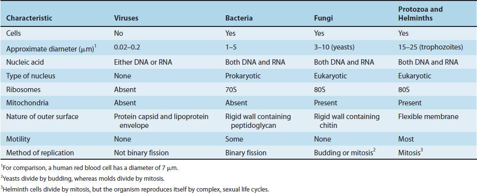 Bacteria Compared with Other Microorganisms | Basicmedical Key