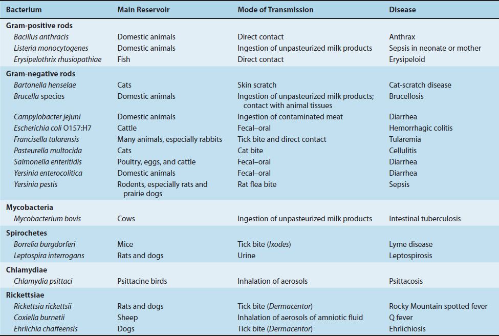 Pathogenesis | Basicmedical Key