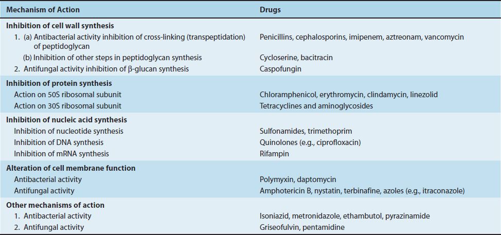 Antimicrobial Drugs: Mechanism of Action