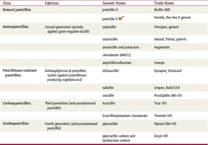 Penicillins Basicmedical Key