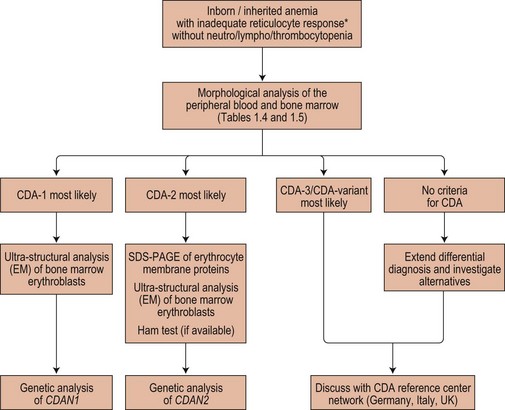 Congenital Dyserythropoietic Anemias | Basicmedical Key