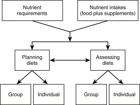 Guidelines For Food And Nutrient Intake Basicmedical Key