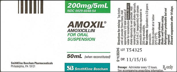 chloroquine and rabies vaccine