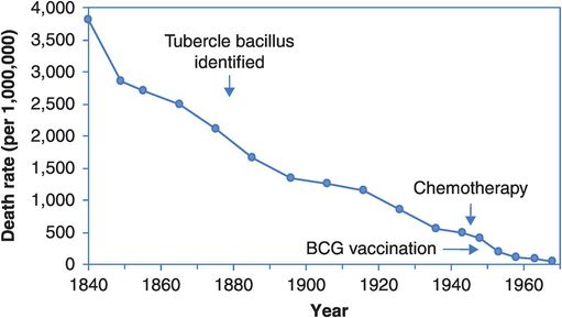 Prevention: better than cure? | Basicmedical Key