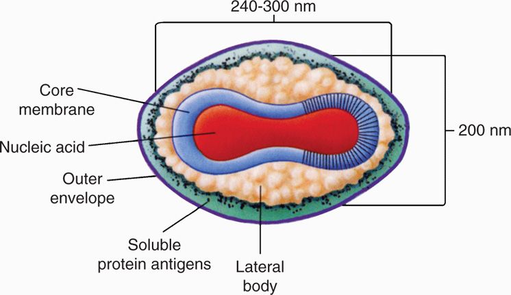 Laboratory Manual and Workbook in Microbiology