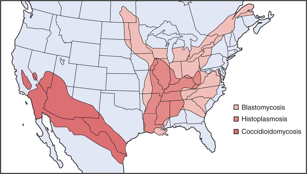 Fungal Map Usa