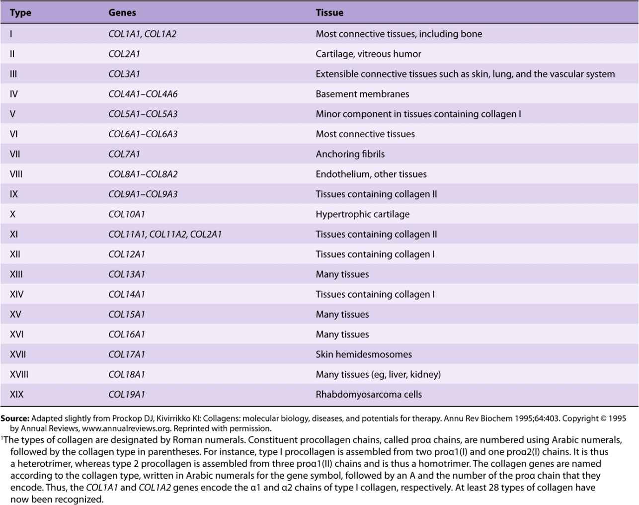 The Extracellular Matrix | Basicmedical Key