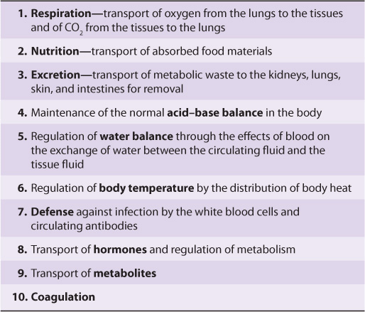 basic 2 of composition functions Basicmedical  & Immunoglobulins  Proteins Plasma Key