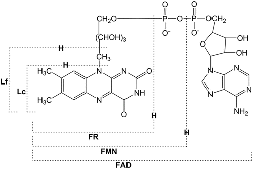 A299540_1_En_14_Fig1_HTML.gif