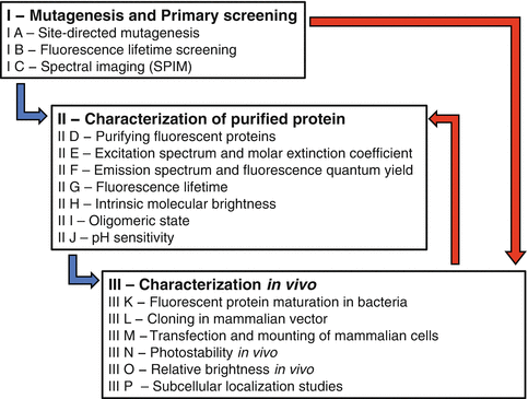 A299540_1_En_16_Fig4_HTML.gif