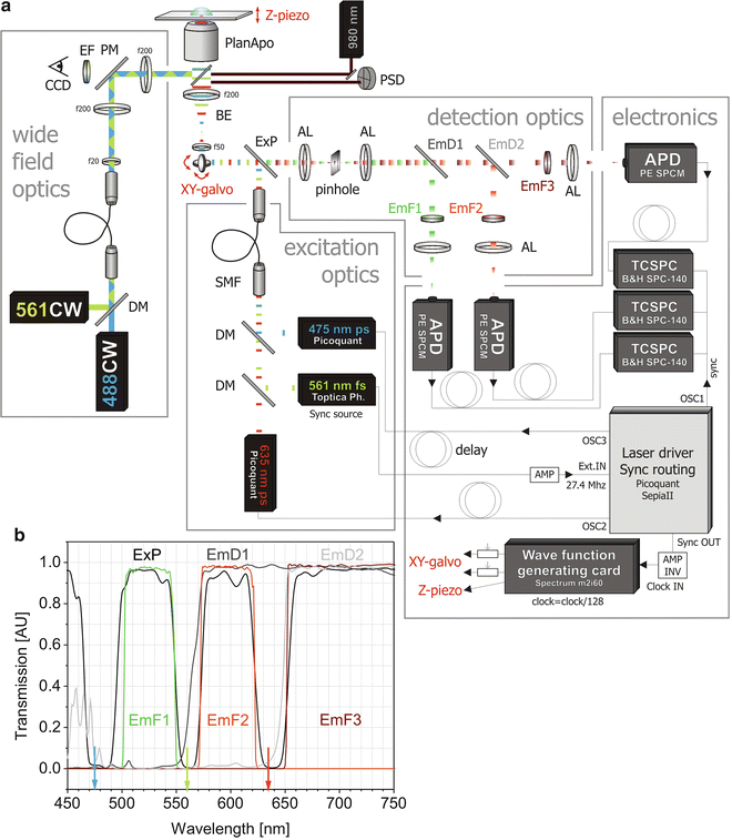 A299540_1_En_30_Fig2_HTML.gif