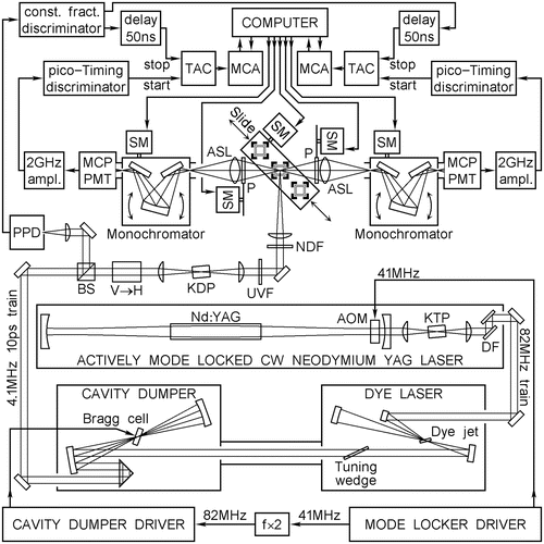 A299540_1_En_9_Fig1_HTML.gif