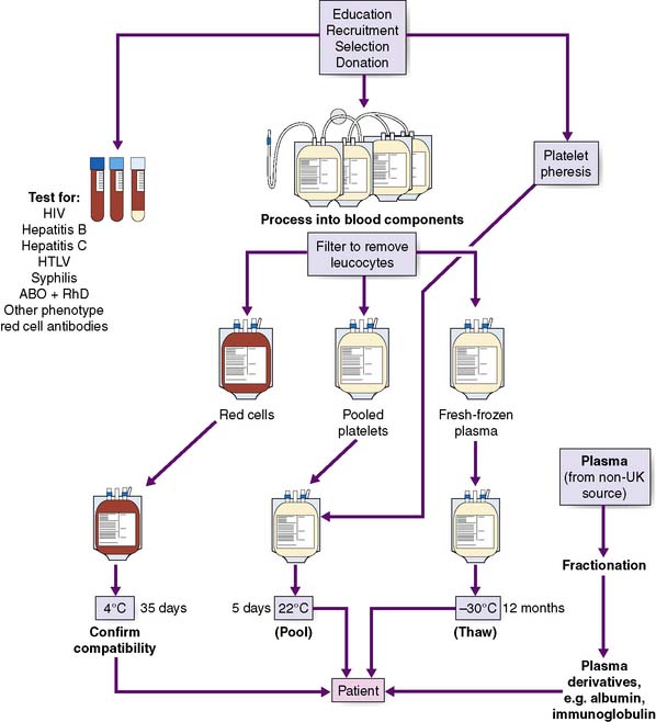 Blood Transfusion Flow Chart