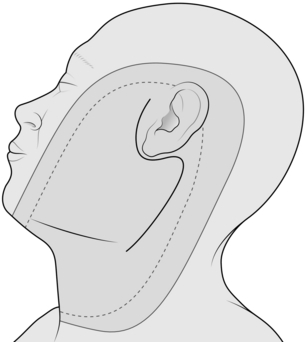 Head and neck | Basicmedical Key