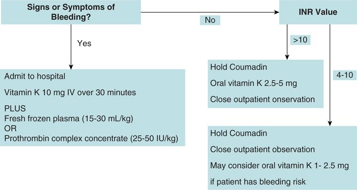 Coumadin Inr Chart