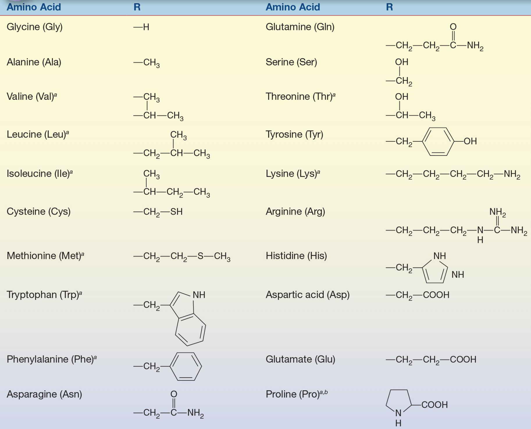 family hydrophobic amino acids