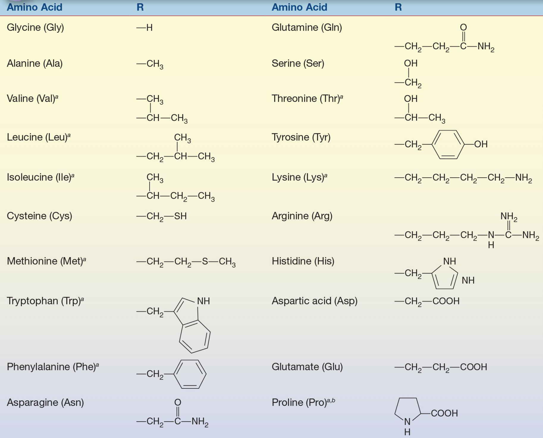 What Is An R Group In Proteins