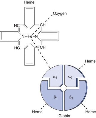 POSSIBLE ORIGIN FOR PORPHIN DERIVATIVES IN PREBIOTIC CHEMISTRY – A  COMPUTATIONAL STUDY 1. Introduction Photosynthesis, respira