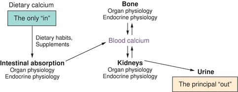 Calcium Homeostasis And Hormonal Regulation Basicmedical Key