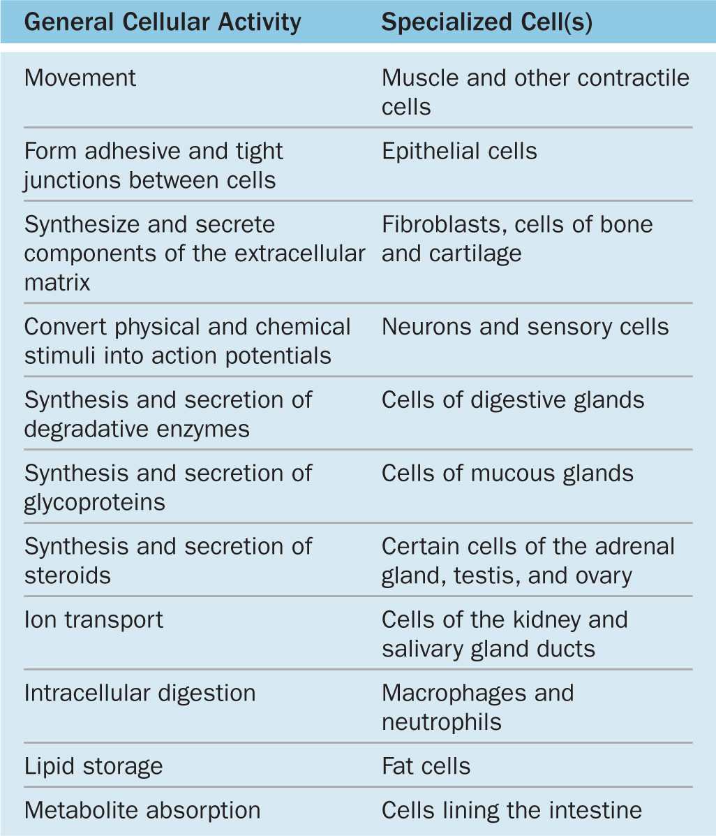 the-cytoplasm-basicmedical-key