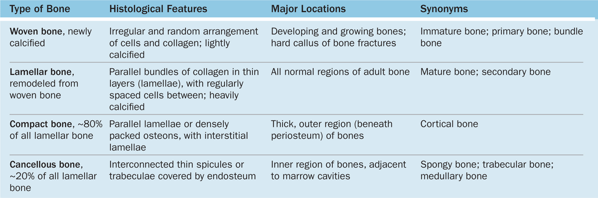 woven bone histology