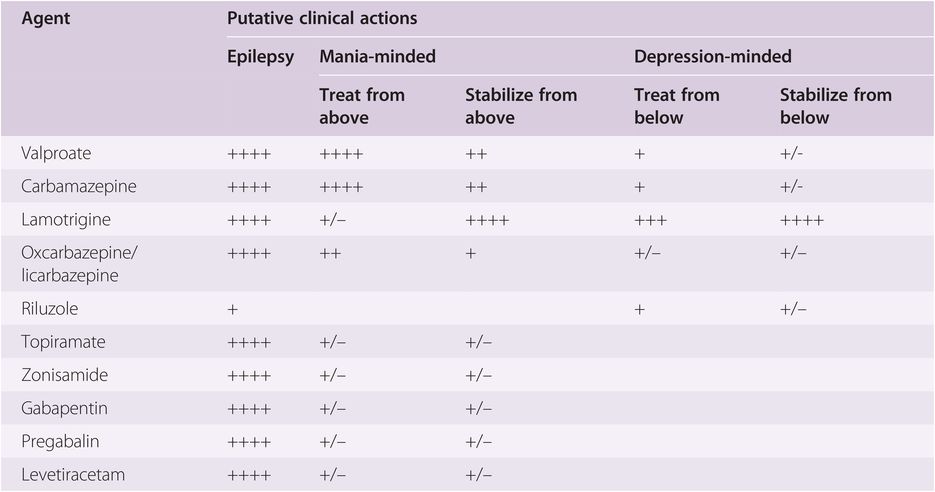  Types Of Mood Stabilizers 