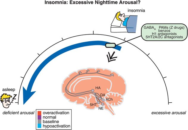 sleep disorders affecting wakefulness