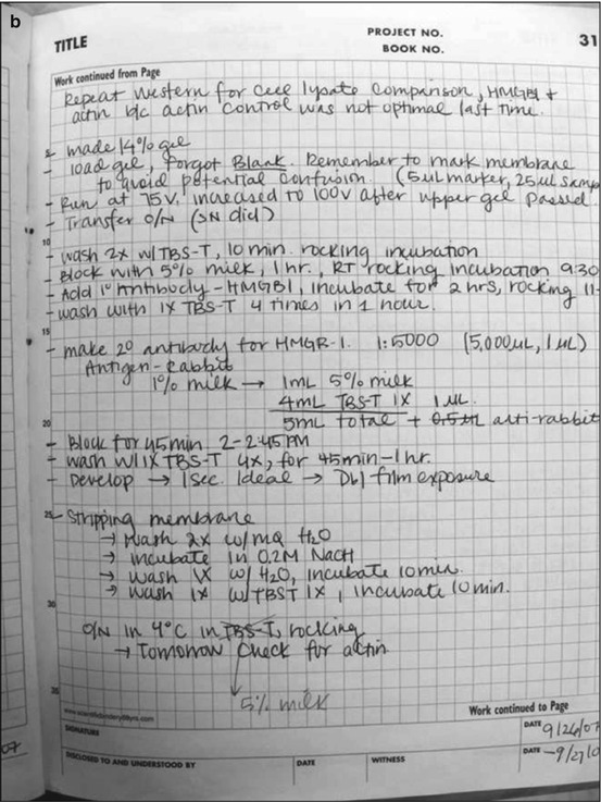 research lab notebook example