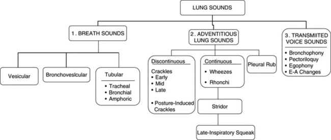 lung sounds rales