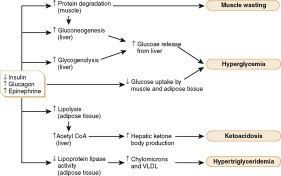 diabetes and carbohydrate metabolism