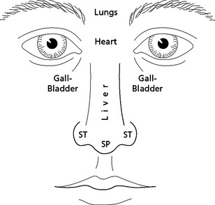 OBSERVATION OF THE NOSE | Basicmedical Key