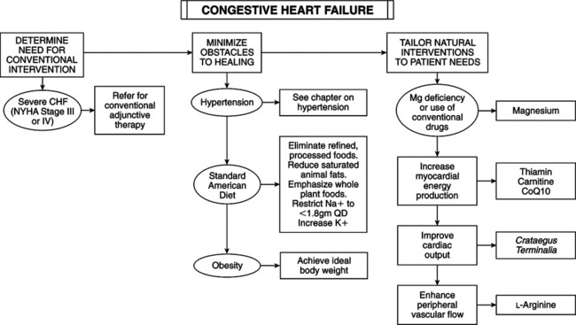 Congestive Heart Failure | Basicmedical Key