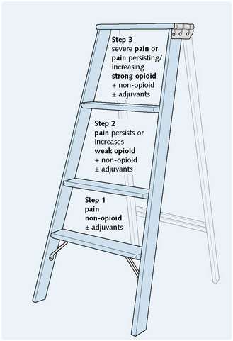 Who Ladder Of Pain Management