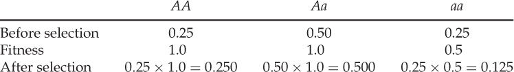 NumberTable