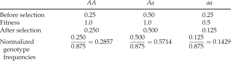 NumberTable