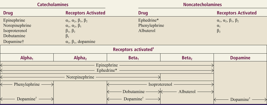 Alpha And Beta Adrenergic Receptors Chart