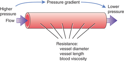 https://basicmedicalkey.com/wp-content/uploads/2017/04/image02457.jpeg