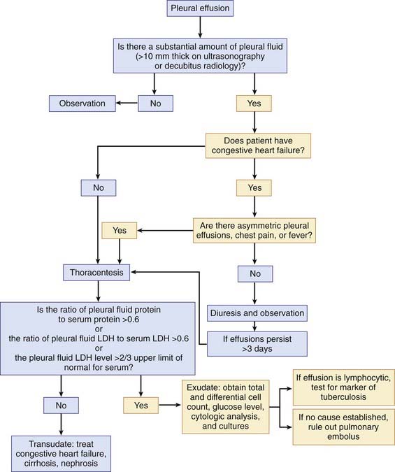 Thoracentesis | Basicmedical Key