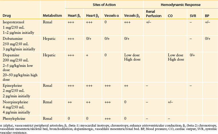 Shock Basicmedical Key