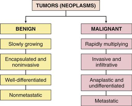 Neoplasms: (ICD-10-CM Chapter 2, Codes C00-D49) | Basicmedical Key