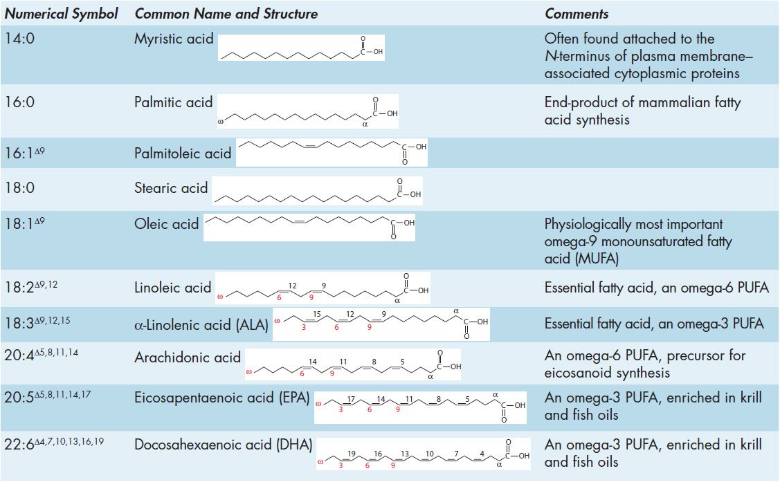 3 Lipids of Biological Significance | Basicmedical Key