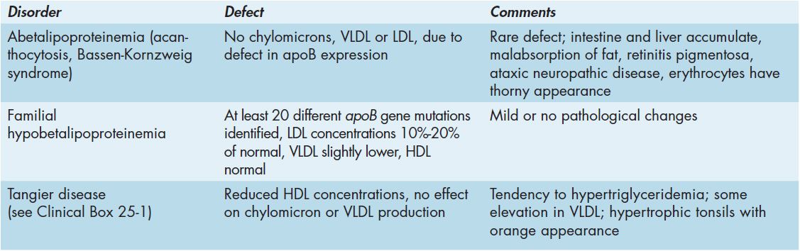 28 Lipids: Lipoproteins | Basicmedical Key