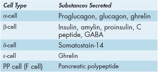 49 Peptide Hormones | Basicmedical Key