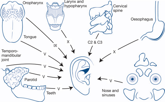 Ear, Nose And Throat And Head And Neck Problems | Basicmedical Key